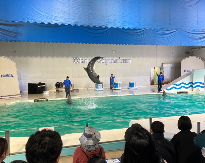 Otaru Aquarium: only a 10-min drive from our hotel! | LIVELY HOTELS