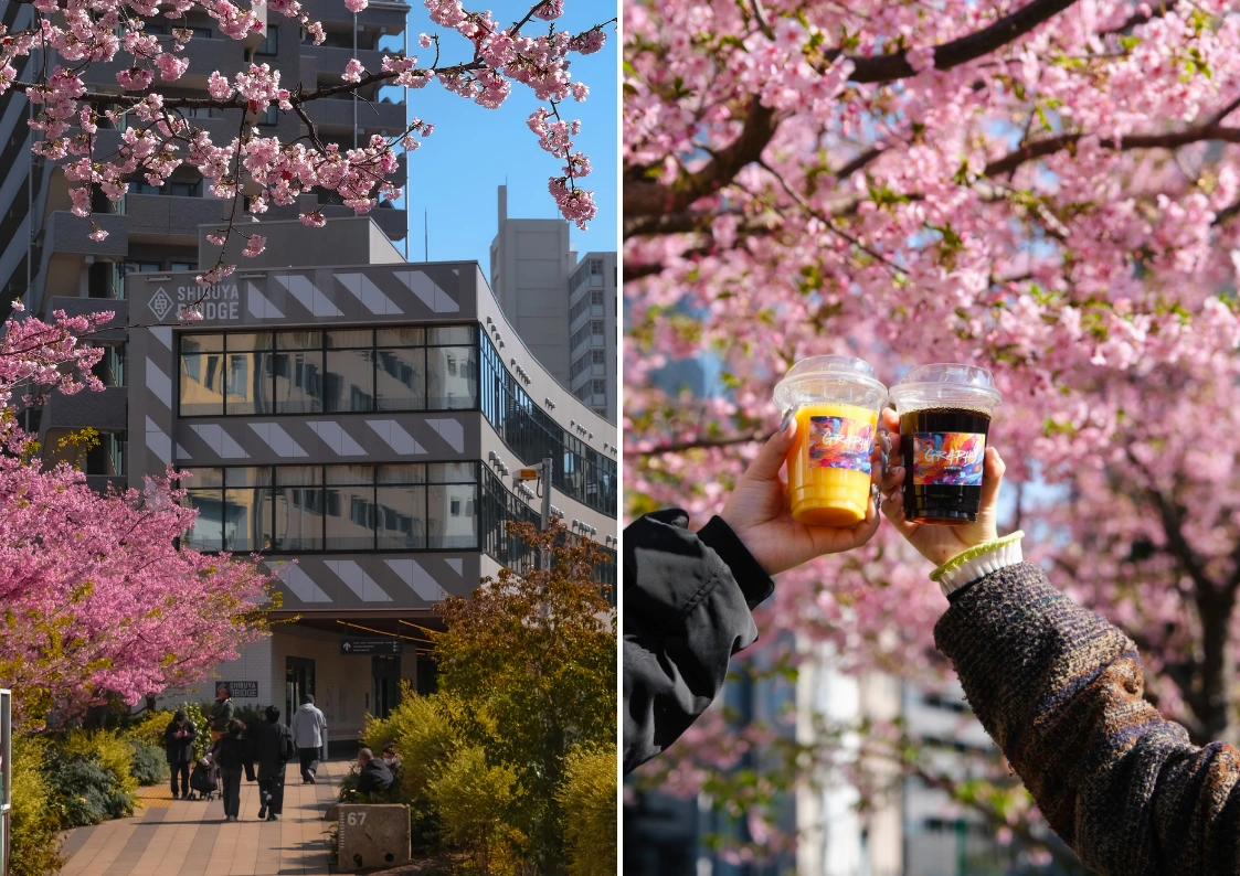[archived]2026 Shibuya Sakura Guide: Best Cherry Blossom Spots and ...