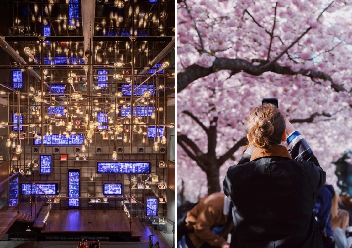 2026年 福岡の桜旅　The Millennials 福岡を拠点にスマートな春旅を