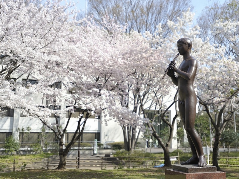 有栖川宮記念公園の桜　2026年 麻布十番周辺のお花見スポット　THE LIVELY 東京麻布十番